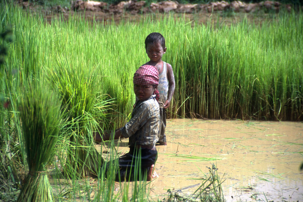 Countries Move To End Child Labour But Globally The Picture Is Still Bleak Theirworld